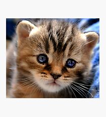 Heart Breaker Photographic Print