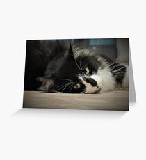 Sultry Greeting Card