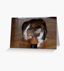 Mom's Best Shoes Greeting Card