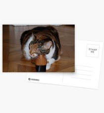 Mom's Best Shoes Postcards