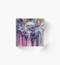 Wild Hues Acrylic Block