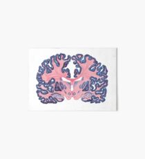 Lámina rígida Gyri y remolinos del cerebro humano