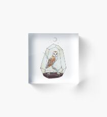 Barn Owl Acrylic Block
