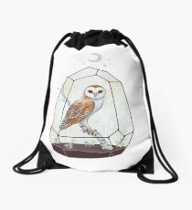 Barn Owl Drawstring Bag