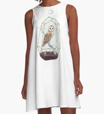 Barn Owl A-Line Dress