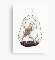 Barn Owl Metal Print