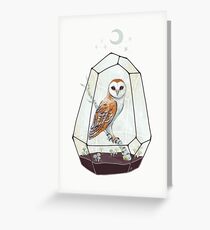 Barn Owl Greeting Card