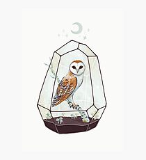 Barn Owl Photographic Print