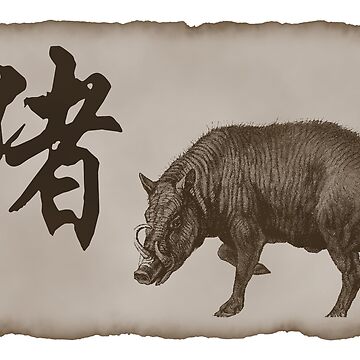 chinese zodiac signs boar