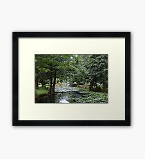 New Zealand: Queenstown Gardens Framed Print