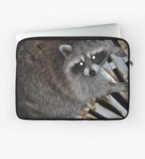 Raton laveur Housse de laptop