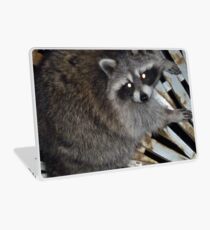 Raton laveur Skin de laptop