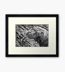 Dragon Framed Print