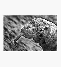 Dragon Photographic Print