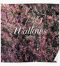 wallows spring ep Poster
