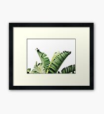Bananenblätter Gerahmtes Wandbild