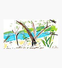 Port Douglas Photographic Print