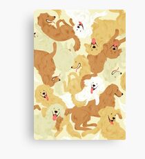 Golden retriever Canvas Print