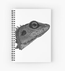 Cuaderno de espiral Agamidae