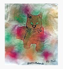 Picture cat Photographic Print