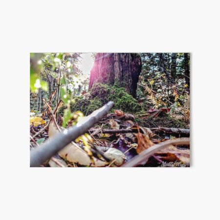 sun peeking from behind tree Art Board Print