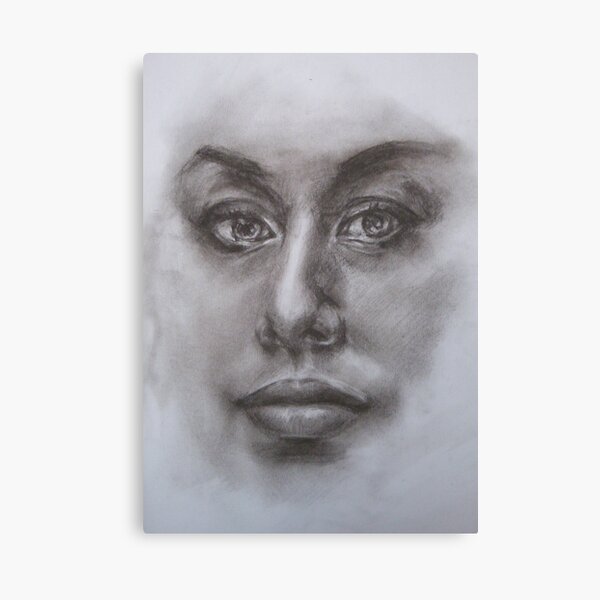 through the misty glass Canvas Print