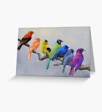 Birds of all Colors Greeting Card
