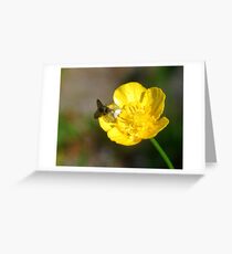 flower Greeting Card