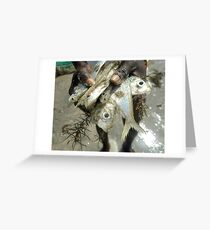 ....a handful of fish Greeting Card