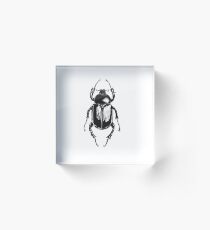 Escarabajo Acrylic Block
