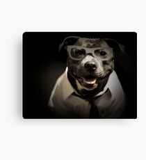 Tax Time Canvas Print