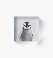 Baby Penguin - Colorful Acrylic Block