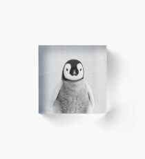 Baby Penguin - Black & White Acrylic Block
