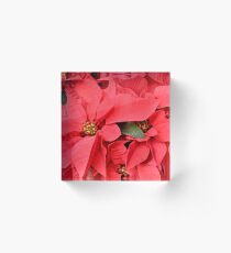 Grouping of Red Poinsettia Plants Acrylic Block