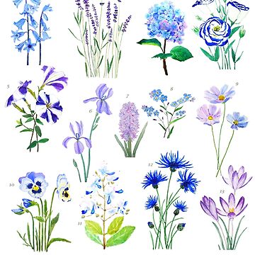 Artwork thumbnail, blue and purple  flower collection watercolor  by ColorandColor
