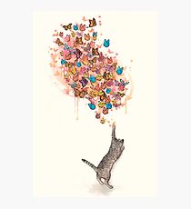 catching butterflies Photographic Print
