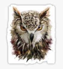 Hand Painted Owl Sticker