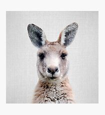 Kangaroo - Colorful Photographic Print