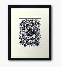 Black, White, Sunflowers, flowers, print, Framed Print