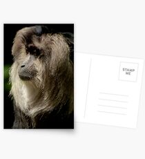 Endangered Postcards
