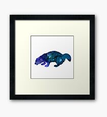 Groundhog Framed Print