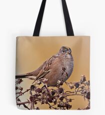 Golden Crowned Sparrow Tote Bag