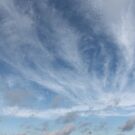 #sky #landscape #nature #outdoors #weather #storm #water #sea #rain #sunset #summer #horizontal #blue #colorimage #wide #nopeople #day #lightnaturalphenomenon #scenicsnature #sun #cloudsky #coastline by znamenski