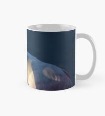 Spoonbill Portrait Mug