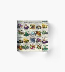Amphibians of the Wizarding World! Acrylic Block