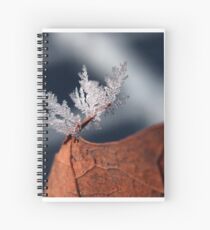 Flake Spiral Notebook