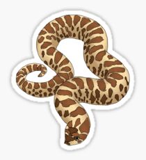 Hognose Stickers | Redbubble