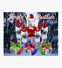 Jingle Bulls Jingle Bulls Photographic Print