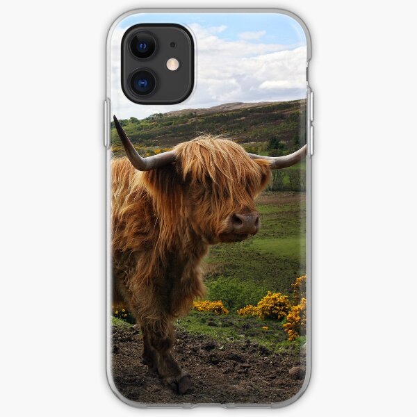 Highland Cow - Schottische Hochland Kuh iPhone Flexible Hülle