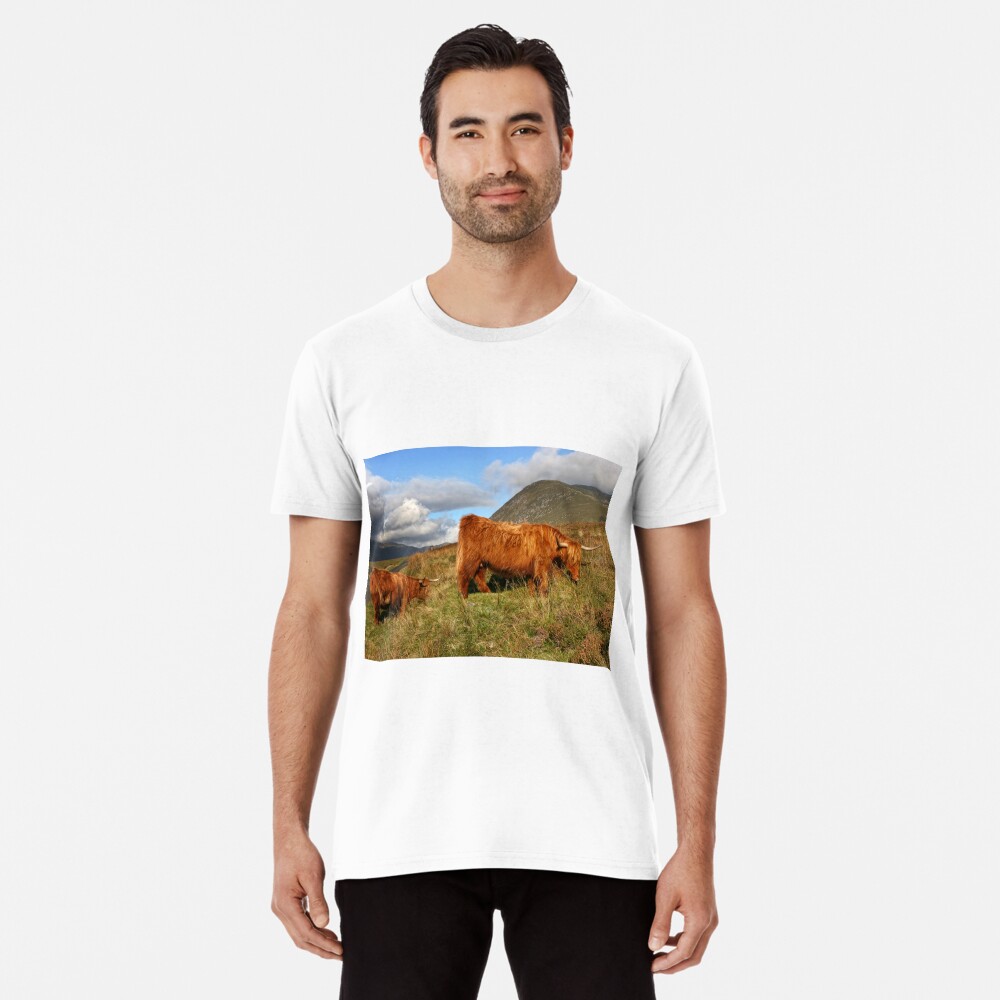 Scottish Highland Cattle Scottish Highland Cattle T Shirt By